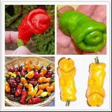 Chili Seeds for Planting, Multi-Colored, 100 pcs